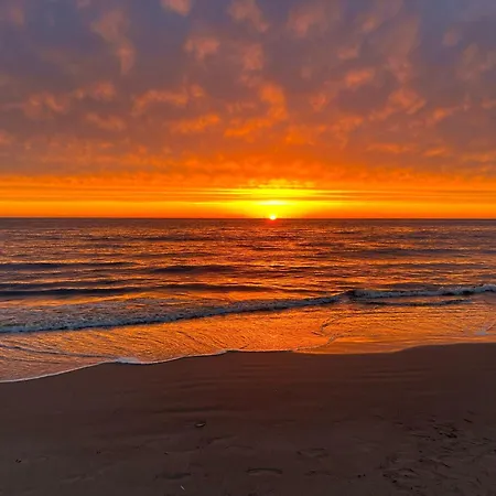 Appartementen Beach Hotel Bergen Aan Zee Bergen aan Zee