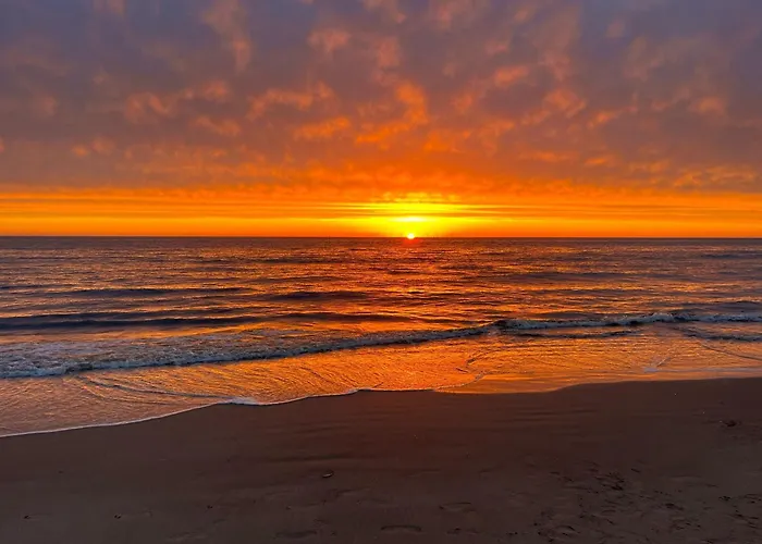 Appartementen Beach Hotel Bergen Aan Zee 버겐안지