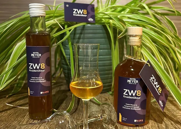 Appartementen Beach Hotel Bergen Aan Zee